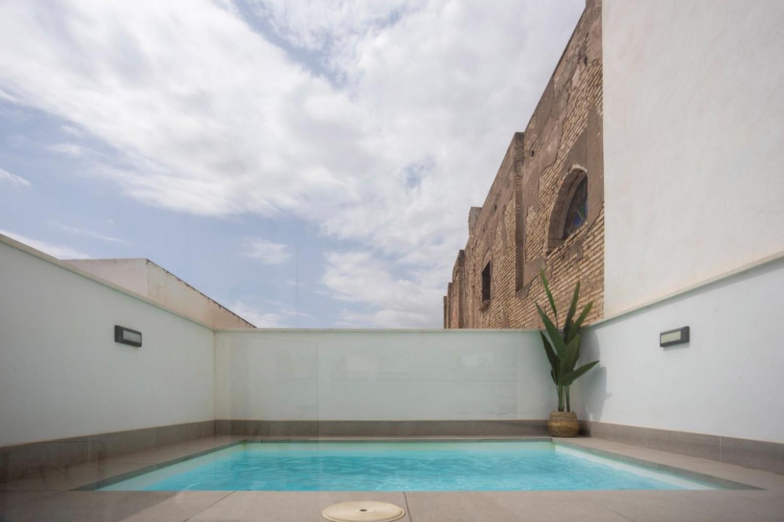 Private & Pool Goyeneta Urban Apartment Sevilla